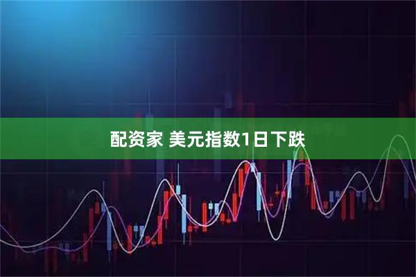配资家 美元指数1日下跌