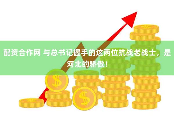 配资合作网 与总书记握手的这两位抗战老战士，是河北的骄傲！