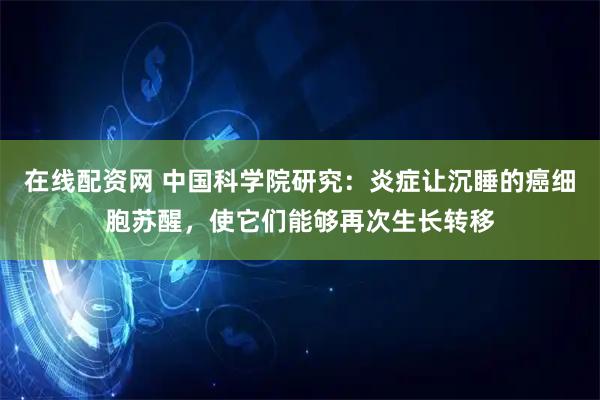 在线配资网 中国科学院研究：炎症让沉睡的癌细胞苏醒，使它们能够再次生长转移