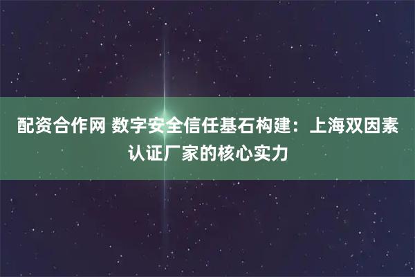 配资合作网 数字安全信任基石构建：上海双因素认证厂家的核心实力