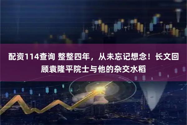 配资114查询 整整四年，从未忘记想念！长文回顾袁隆平院士与他的杂交水稻