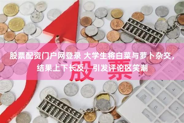 股票配资门户网登录 大学生将白菜与萝卜杂交，结果上下长反，引发评论区笑潮