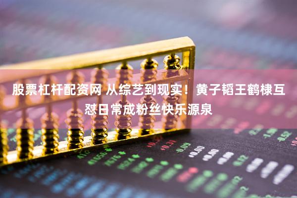 股票杠杆配资网 从综艺到现实！黄子韬王鹤棣互怼日常成粉丝快乐源泉